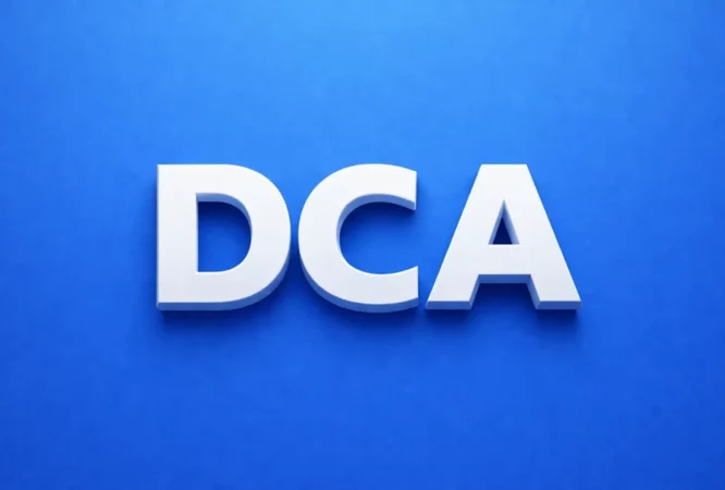diploma in computer application dca