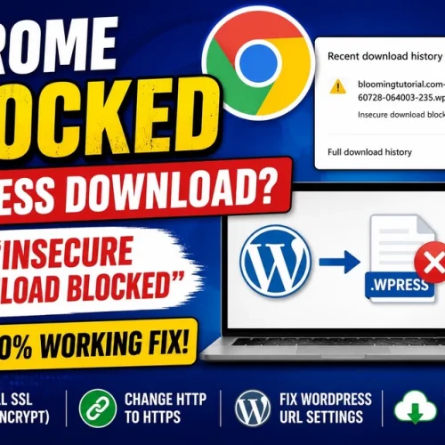 Chrome Blocks All-in-One WP Migration Backup? 100% Working Solution