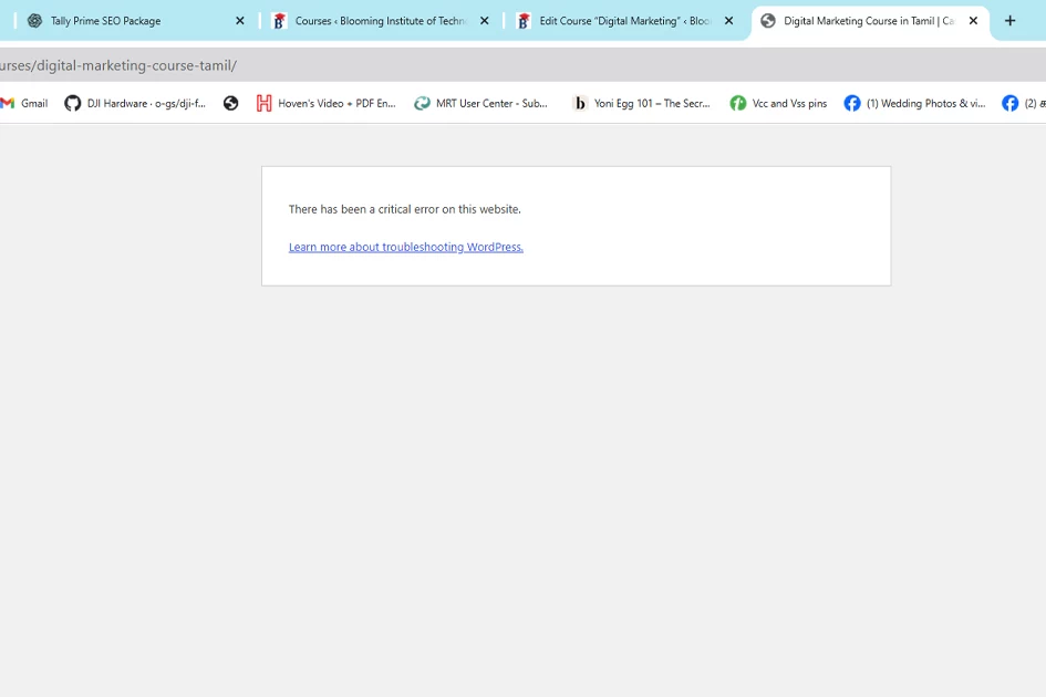 Error 500: Preview couldn't be loaded